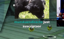 D3289bd6df3b5957a8da8cbe1c846404