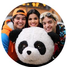 Yolo Wiki Youtube Pedia Fandom