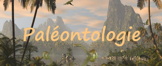 Nessendyl Wikia Youtube Francophone Fandom