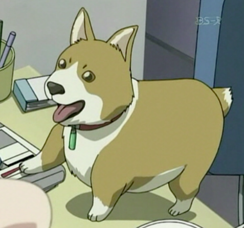 canine gay anime xxx