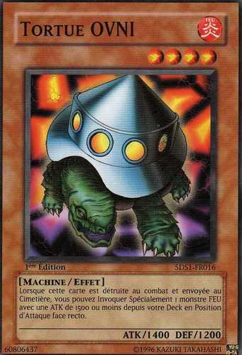 TortueOVNI5DS1-FR-C-1E