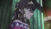 Sera comments on resolving the puzzle