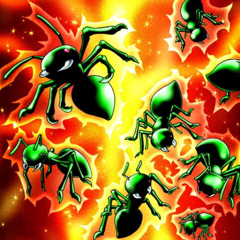 File:MultiplicationofAnts-TF04-JP-VG.jpg