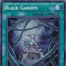 Card Gallery Black Garden Yu Gi Oh Wiki Fandom