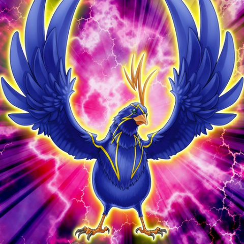 File:Unibird-TF05-JP-VG.png