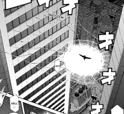 Yagumo's spider web field