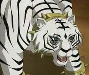 Tania True Form