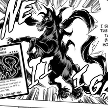 Card Gallery Long Tailed Black Horse Yu Gi Oh Wiki Fandom