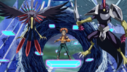 Crow with his Blackwings