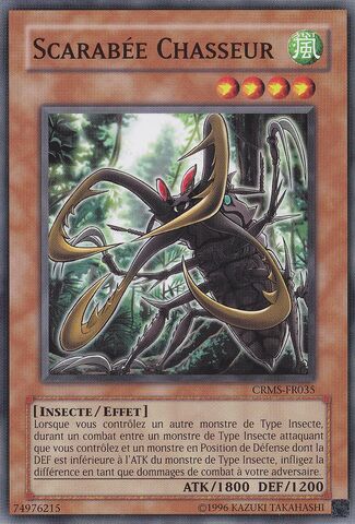 File:CrossSwordBeetle-CRMS-FR-C-UE.jpg