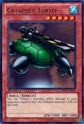 Catapult Turtle LCYW