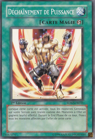File:UnleashYourPower-SDWS-FR-C-1E.png