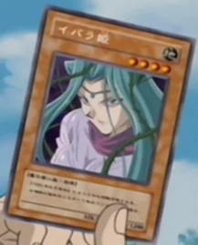 Download Thorn Princess Yu Gi Oh Wiki Fandom For Free Get Wallpaper Thorn Princess Yu Gi Oh Wiki Fandom Free HD