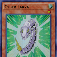 larva