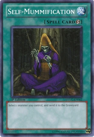 SelfMummification-EXVC-EN-SP-1E.jpg
