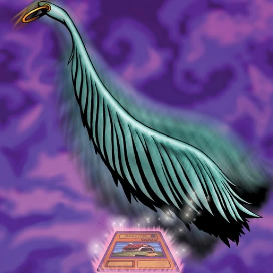 Card ArtworksHarpie's Feather Duster YuGiOh! FANDOM powered by Wikia