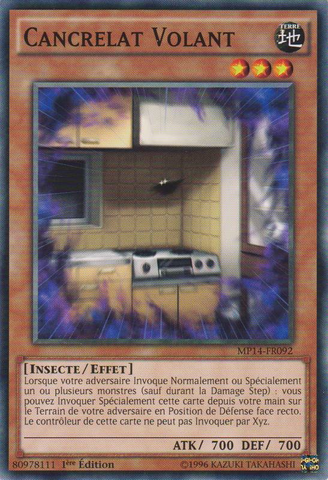 File:FlyingC-MP14-FR-C-1E.png