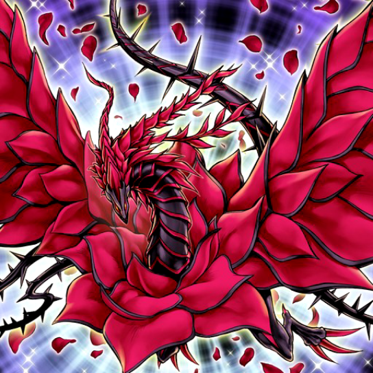 Drago Rosa Nera Yugioh Italian Wiki FANDOM powered by Wikia