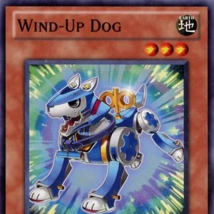 wind up dog