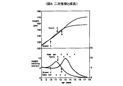 Human height