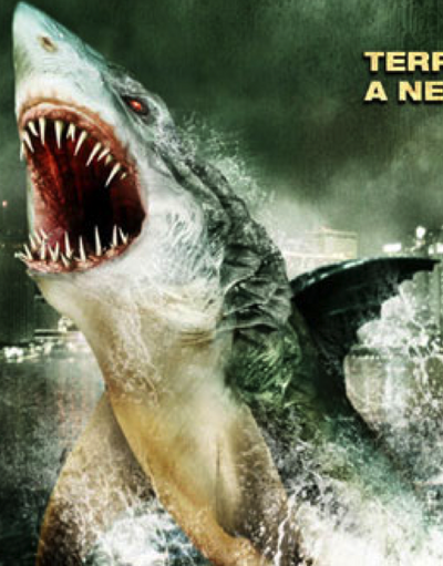 Swamp Shark Swamp Shark