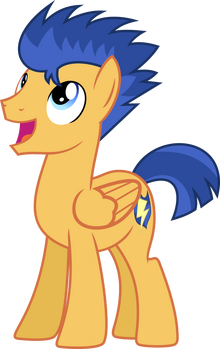Flash Sentry