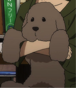 Makkachin