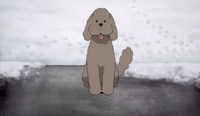 Makkachin