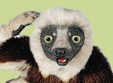 zoboo lemur fanpop puppet