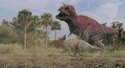 Carnotaur Attack