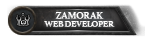 Website Developer PiP
