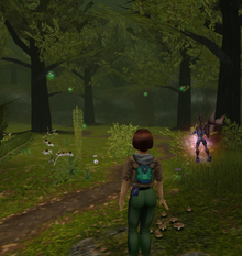 Secret enchanted forest