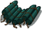 Col animals 3