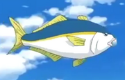Remote-controlled Yellowtail Robot(Episode 105)
