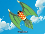 Flying Beat
