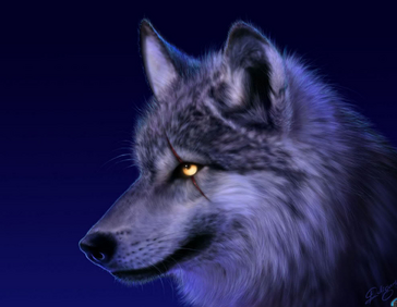 Bardulfwolf