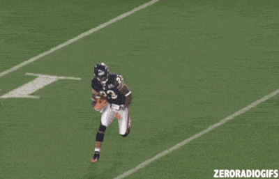 Bearsgifhester1