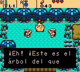 13 parte