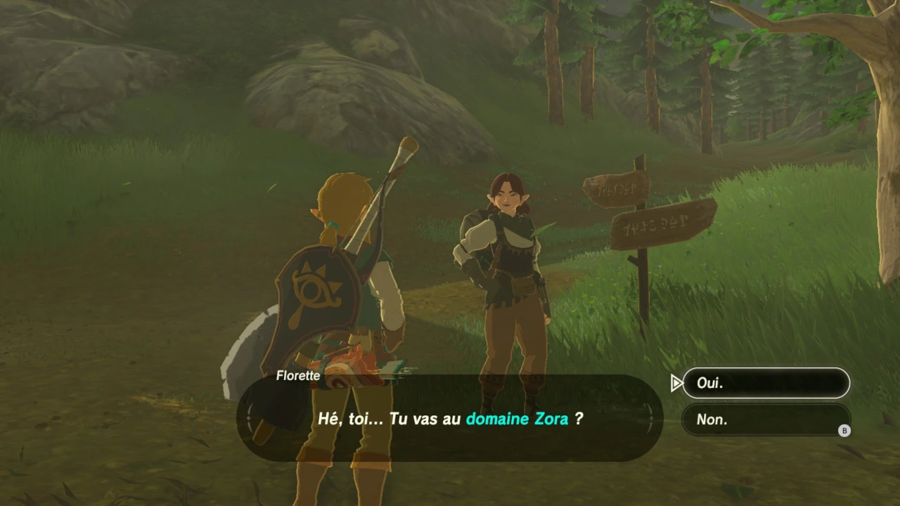 Florette ZeldaWiki FANDOM powered by Wikia