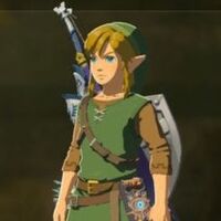 Tunic Of The Wild Zeldapedia Fandom