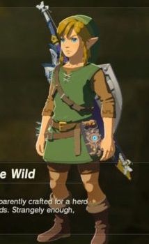 Tunic of the Wild | Zeldapedia | Fandom