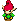 Minish Bosque