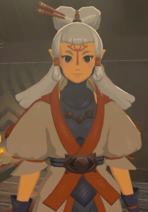 Pay the legend of zelda wiki fandom powered by wikia