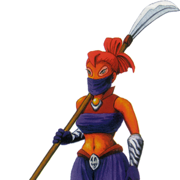 Gerudo Zeldapedia Fandom