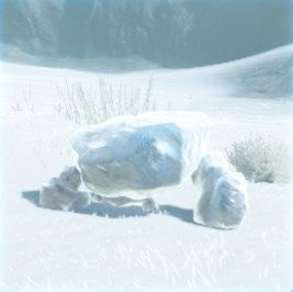 Breath Of The Wild Dark Link >> Frost Pebblit | Zeldapedia | FANDOM powered by Wikia Breath Of The Wild Dark Link >> Frost Pebblit | Zeldapedia | FANDOM powered by Wikia