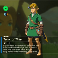 Tunic Of Time Zeldapedia Fandom
