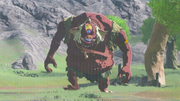 Redhinox botw