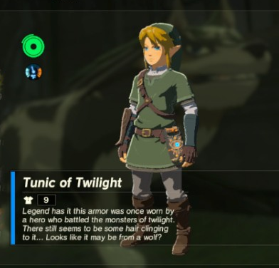Tunic Of Twilight Zeldapedia Fandom