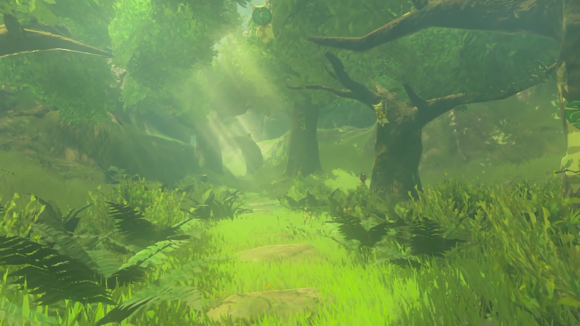 Korok Forest Zeldapedia Fandom