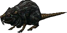 Rata